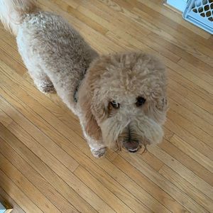 Meet your Posher, Kate